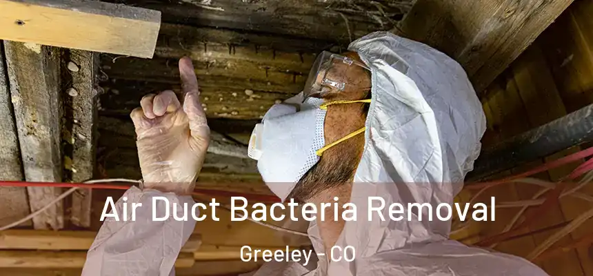 Air Duct Bacteria Removal Greeley - CO