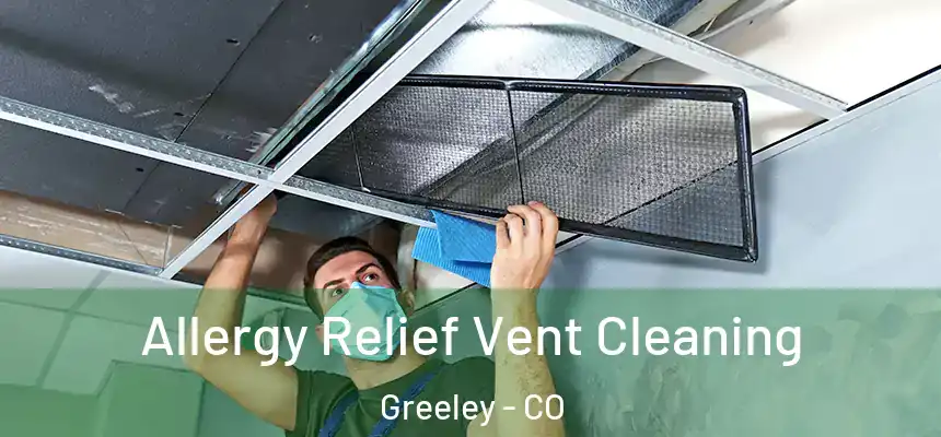 Allergy Relief Vent Cleaning Greeley - CO