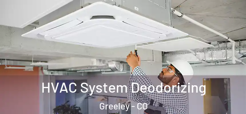 HVAC System Deodorizing Greeley - CO