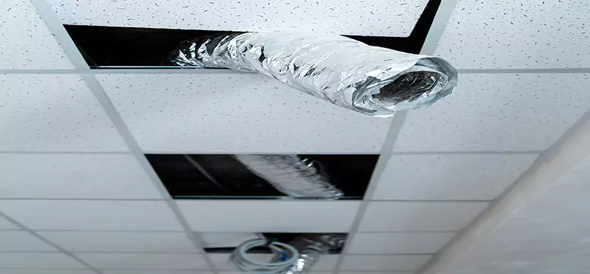 Our Air Duct Pet Hair Removal Services in Greeley, CO