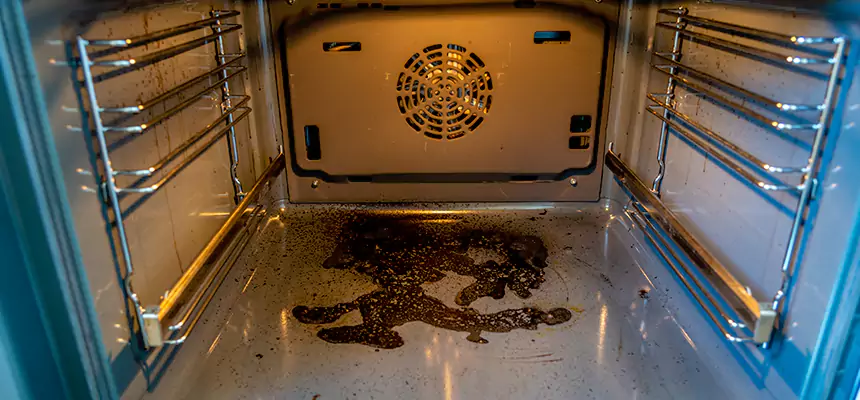 Our Dryer Vent Mold Cleaning Services in Greeley, CO