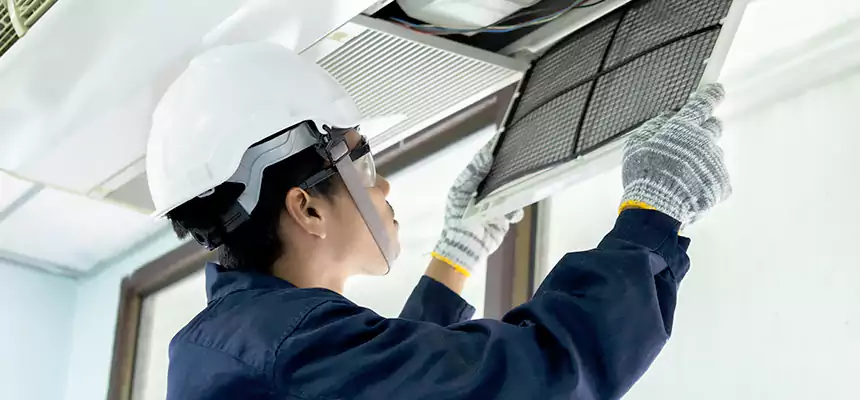 Our Mold & Mildew Removal from Air Ducts Services in Greeley, CO