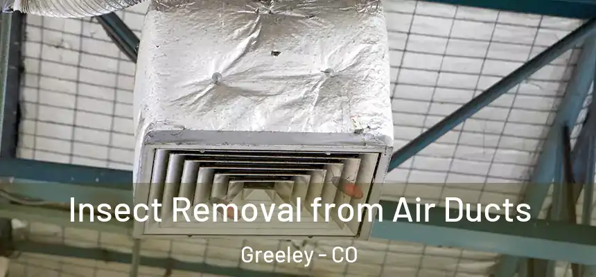 Insect Removal from Air Ducts Greeley - CO