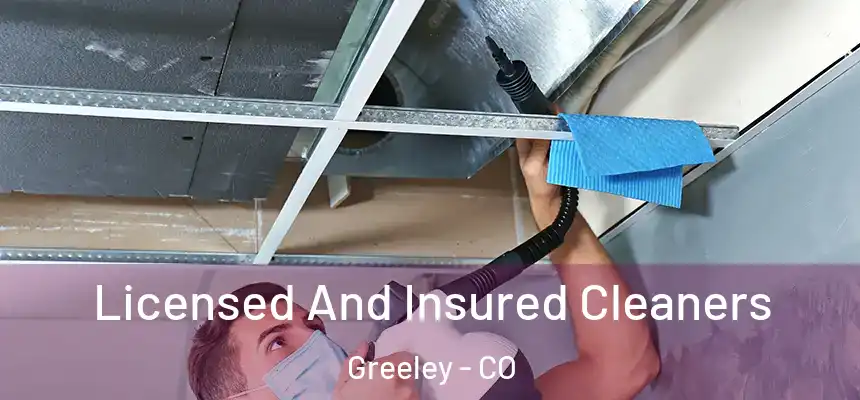 Licensed And Insured Cleaners Greeley - CO
