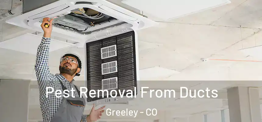 Pest Removal From Ducts Greeley - CO