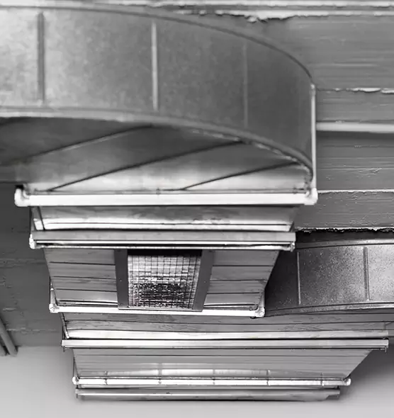 Professional Air Duct Pet Hair Removal in Greeley, CO