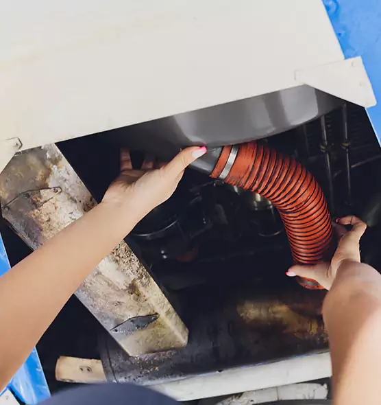 About Air Duct Virus Disinfection in Greeley, CO