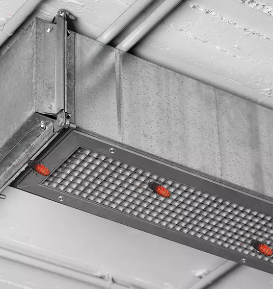 Affordable Insect Removal from Air Ducts in Greeley, CO