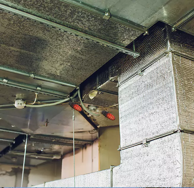 Why Homeowners & Businesses Trust Us in Greeley, CO?