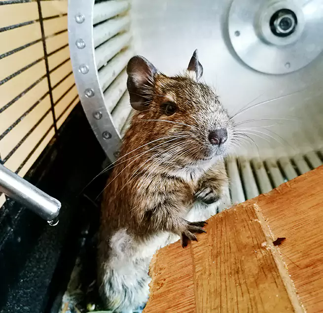 Why Homeowners & Businesses Trust Us Greeley, CO