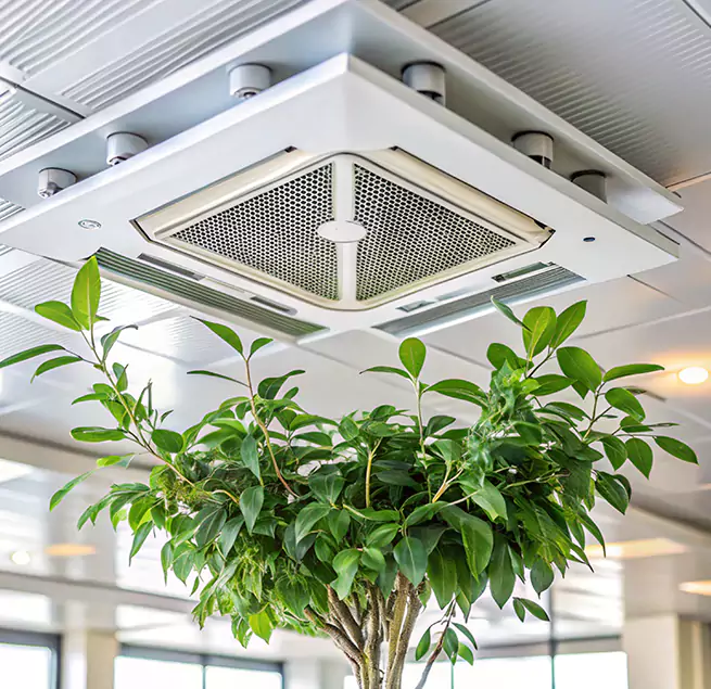 Why Homeowners & Businesses Trust Us in Greeley, CO