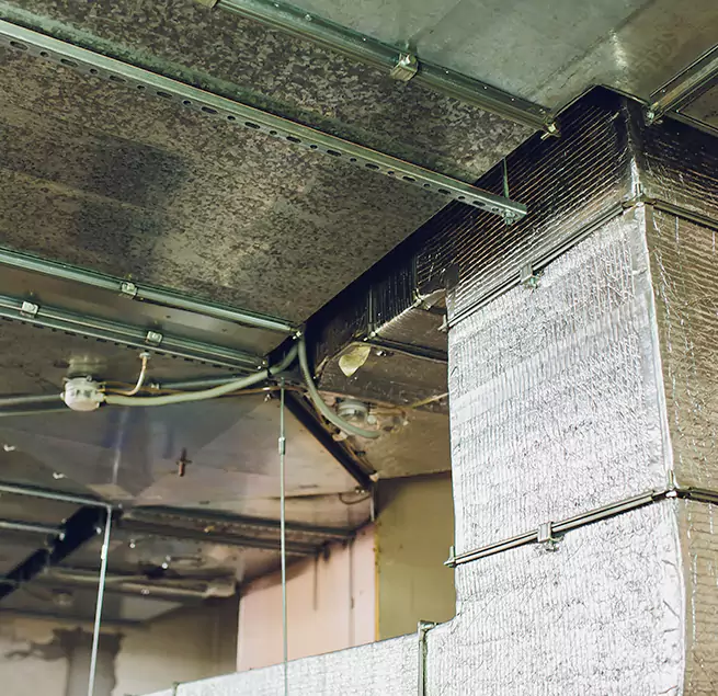 Why Homeowners & Businesses Trust Us in Greeley, CO?